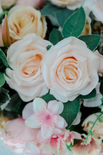 Fondo de pantalla de Fondo de Pantalla de pexels_30548563.jpg