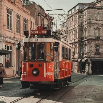 Fondo de pantalla de Fondo de Pantalla de pexels_30359840.jpg