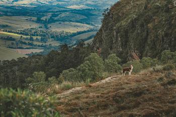 Fondo de pantalla de Fondo de Pantalla de pexels_2829945.jpg