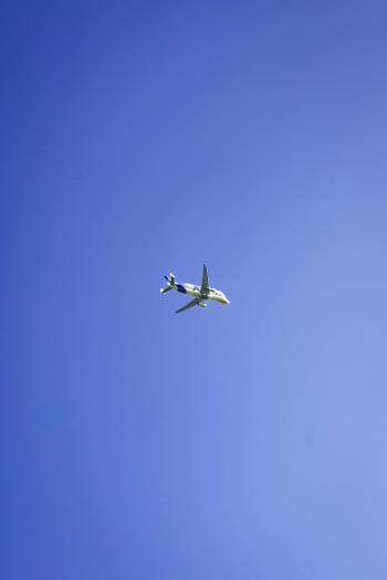 Fondo de pantalla de Fondo de Pantalla de pexels_28548858.jpg