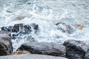 Fondo de pantalla de Fondo de Pantalla de pexels_24031035.jpg