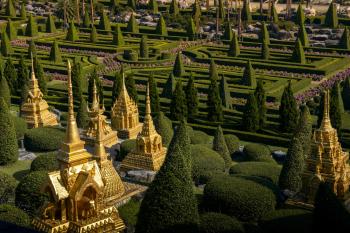 Fondo de pantalla de Fondo de Pantalla de pexels_20994437.jpg