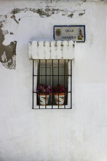 Fondo de pantalla de Fondo de Pantalla de pexels_20770394.jpg