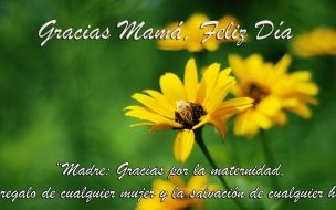 Fondo de pantalla de Gracias Mama