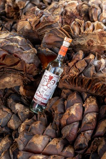 Fondo de pantalla de Fondo de Pantalla de pexels_17046822.jpg