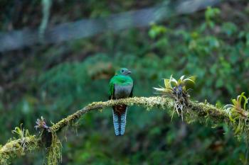 Fondo de pantalla de Fondo de Pantalla de pexels_16017280.jpg