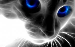 Fondo de pantalla de Best animal wallpapers