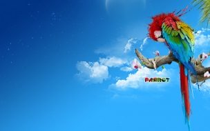 Fondo de pantalla de Fondo de Pantalla Papagayo