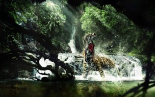 Fondo de pantalla de Wild life animal wallpapers