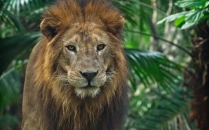 Fondo de pantalla de Pexels gareth davies