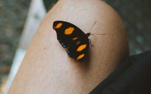 Fondo de pantalla de Pexels tomas anunziata