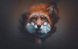 Fondo de pantalla de Fondo HD