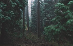 Fondo de pantalla de Fondo HD