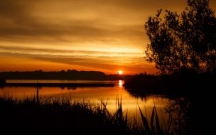 Fondo de pantalla de Fondo HD