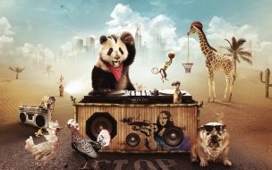 Fondo de pantalla de Fondo de pantalla oso panda musico
