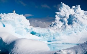 Fondo de pantalla de Antarctica 2560x1440 penguin iceberg snow