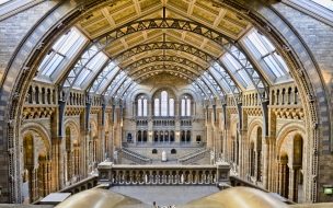 Fondo de pantalla de Natural history museum 2560x1440 london tourism travel vacation resort