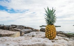 Fondo de pantalla de Pineapple 2560x1440 fruit stones beach 4k