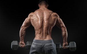 Fondo de pantalla de Bodybuilding 2560x1440 exercise motivation training back bench
