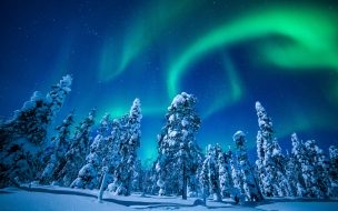Fondo de pantalla de Lapland 2560x1440 finland winter snow tree night northern lights 5k