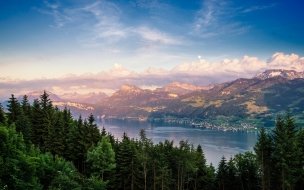 Fondo de pantalla de Lake zurich 2560x1440 forest sky mountains 4k
