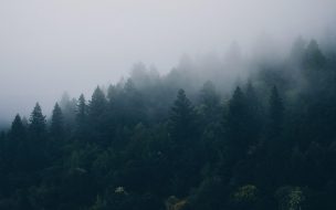 Fondo de pantalla de Scandinavia 2560x1440 fog 4k