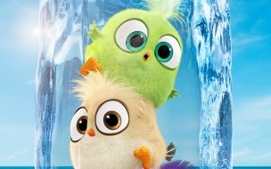 Fondo de pantalla de The angry birds movie 2 2560x1440 poster 5k