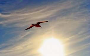 Fondo de pantalla de hermoso cielo