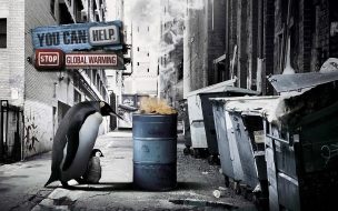 Fondo de pantalla de pinguino en barrio