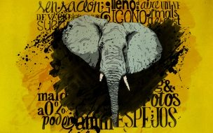 Fondo de pantalla de cabeza de elefante