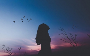 Fondo de pantalla de Girl 2560x1440 silhouette shadow 4k