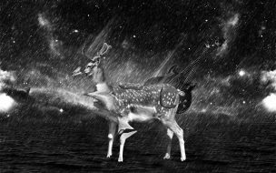 Fondo de pantalla de pintura de venado