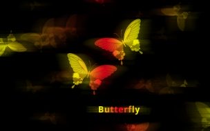 Fondo de pantalla de butterfly