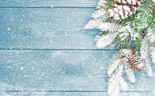 Fondo de pantalla de Christmas 2560x1440 new year fir tree snow 5k