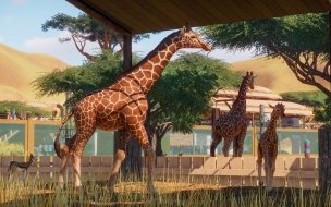 Fondo de pantalla de Planet zoo 2560x1440 e3 2019 screenshot 4k