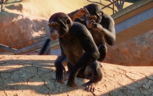 Fondo de pantalla de Planet zoo 2560x1440 e3 2019 screenshot 4k