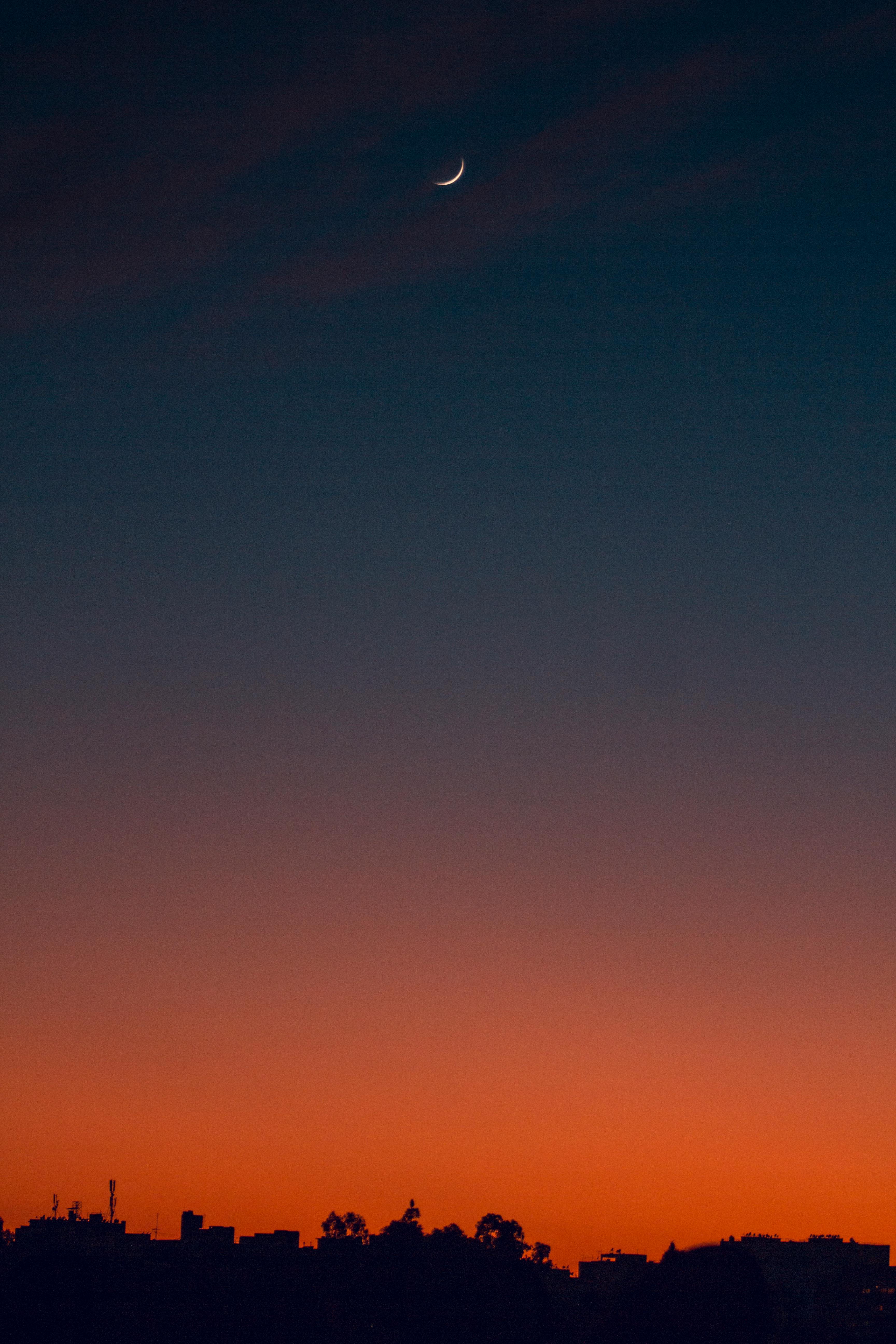 Fondo de Pantalla de 1723637_file.jpeg