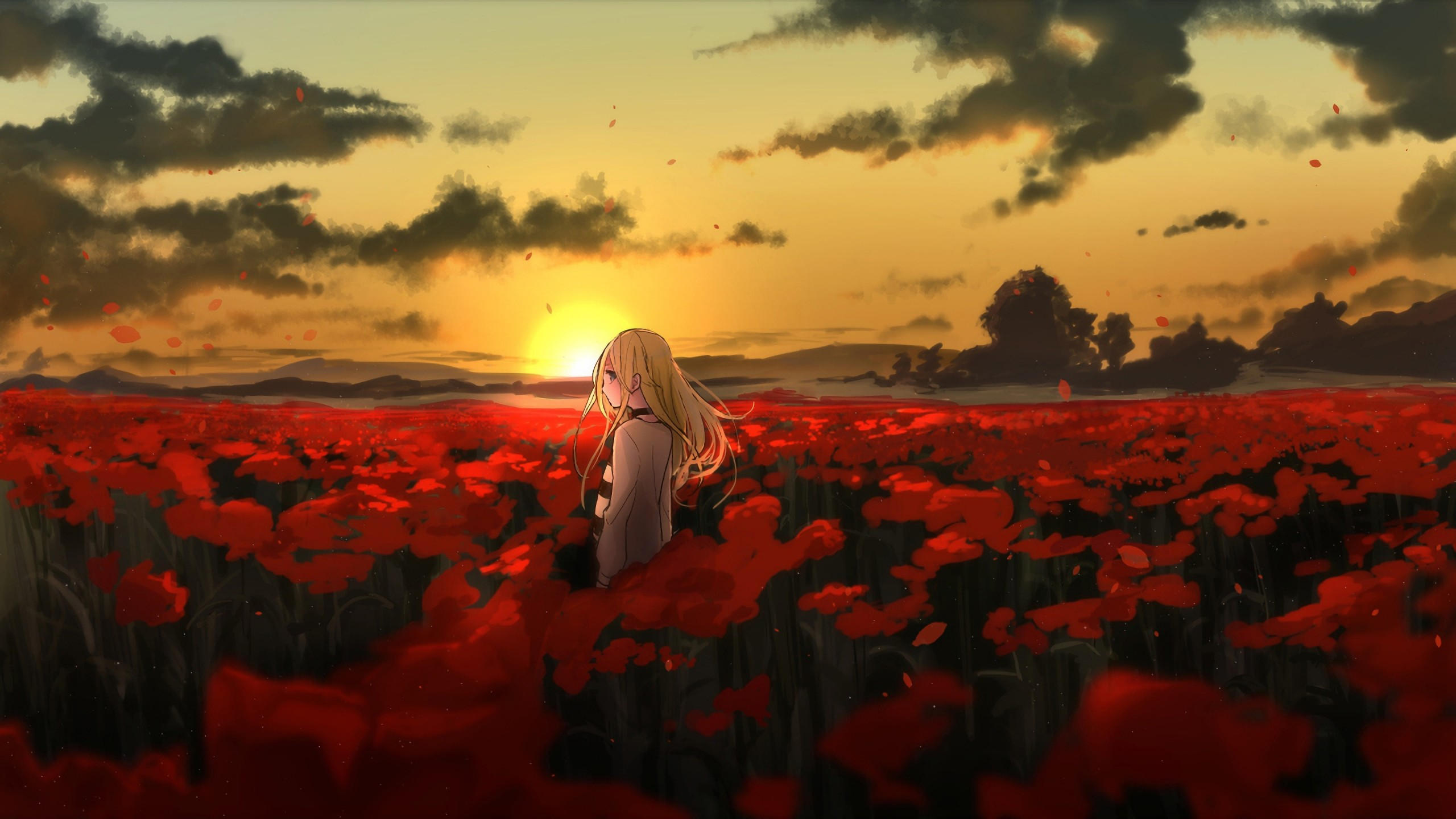 Anime 2560x1440 girl 4k
