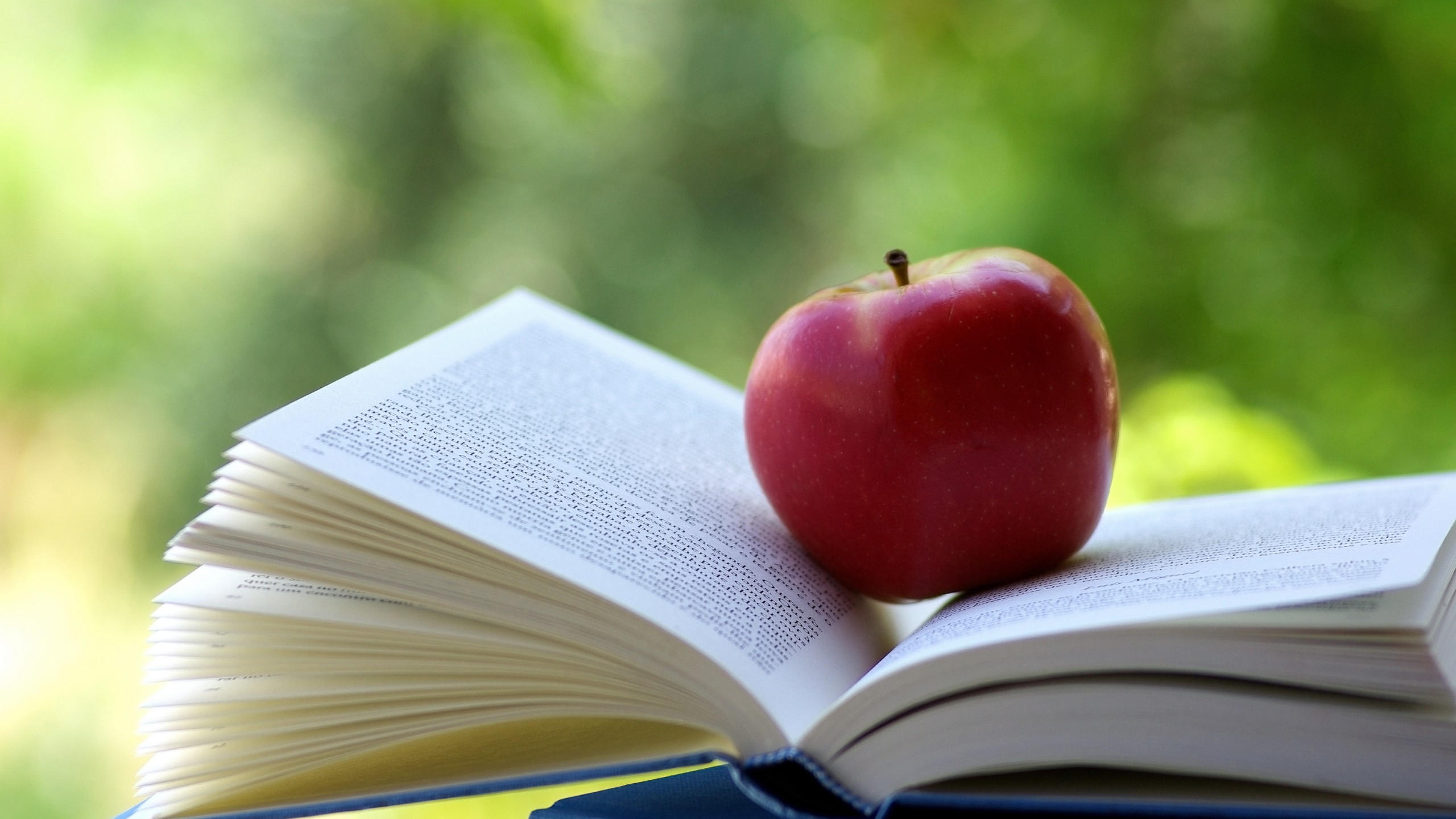 Apple 2560x1440 book 4k