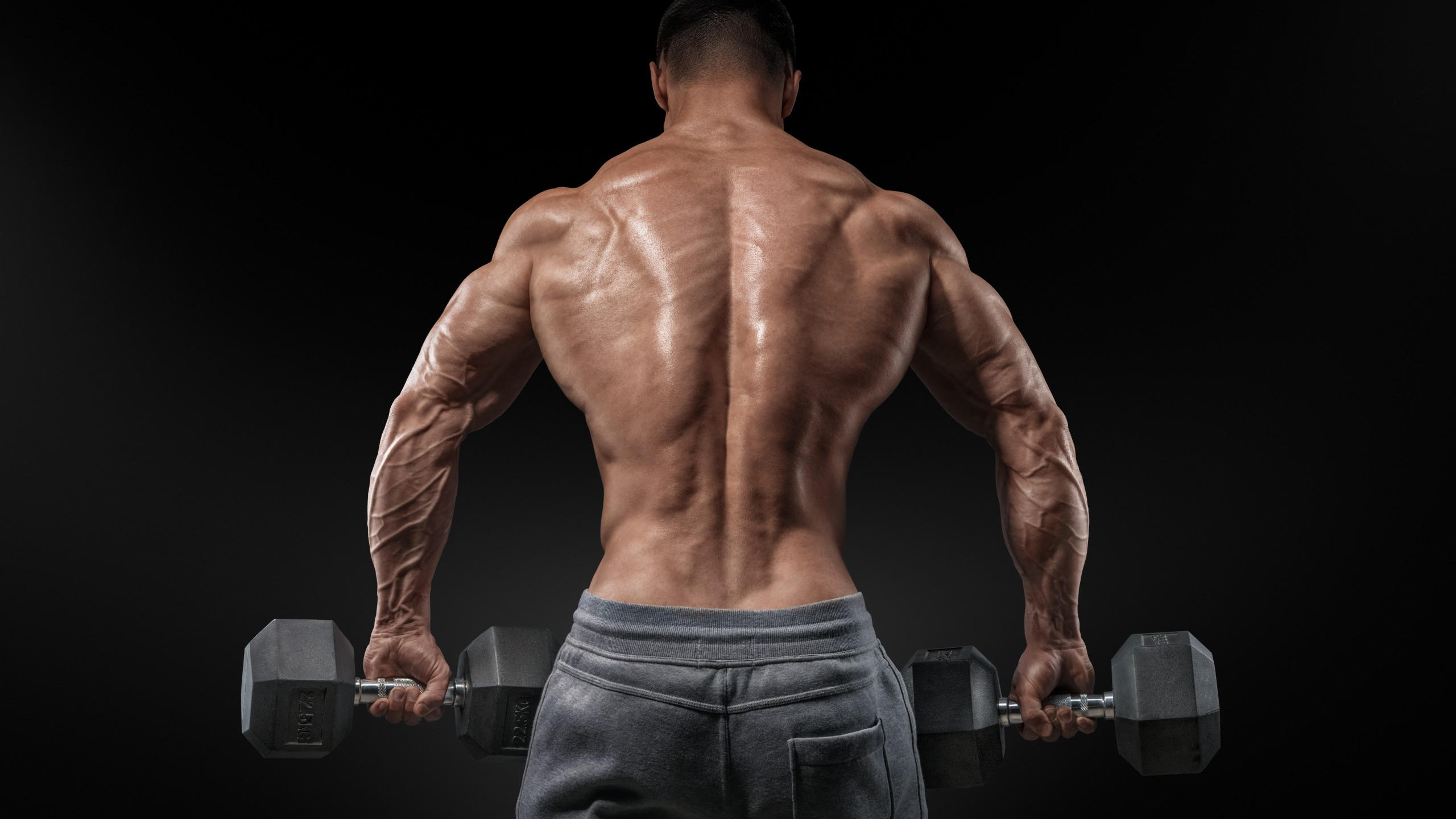 Bodybuilding 2560x1440 exercise motivation training back bench