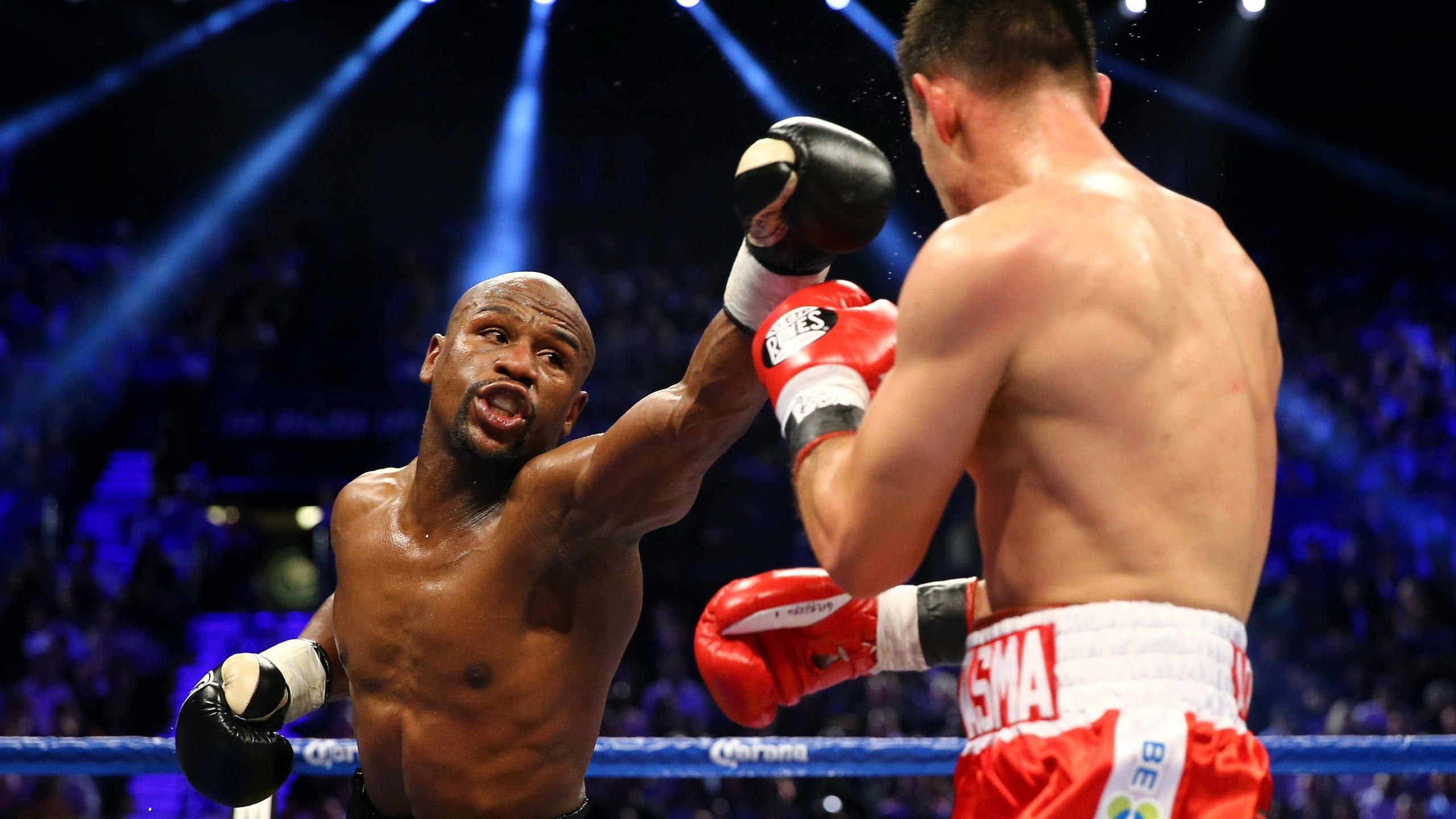 Boxing 2560x1440 floyd mayweather american boxer ring light