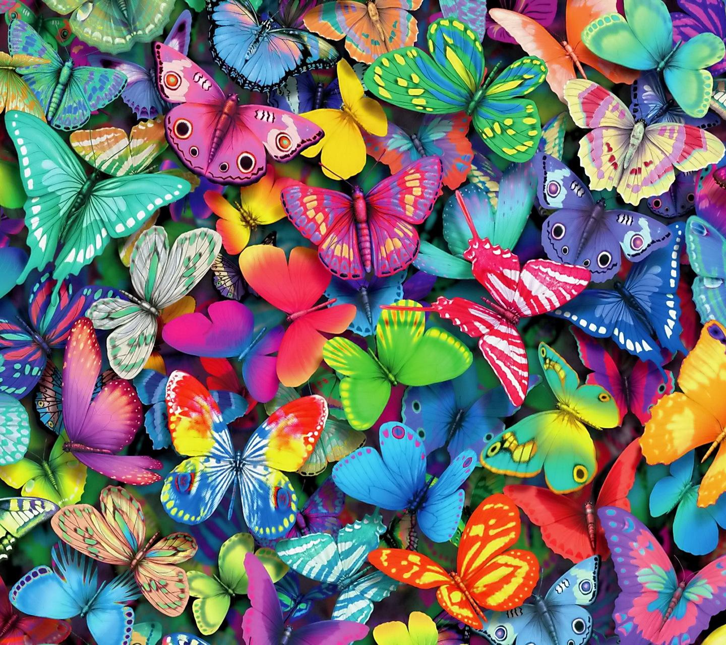 Butterflies