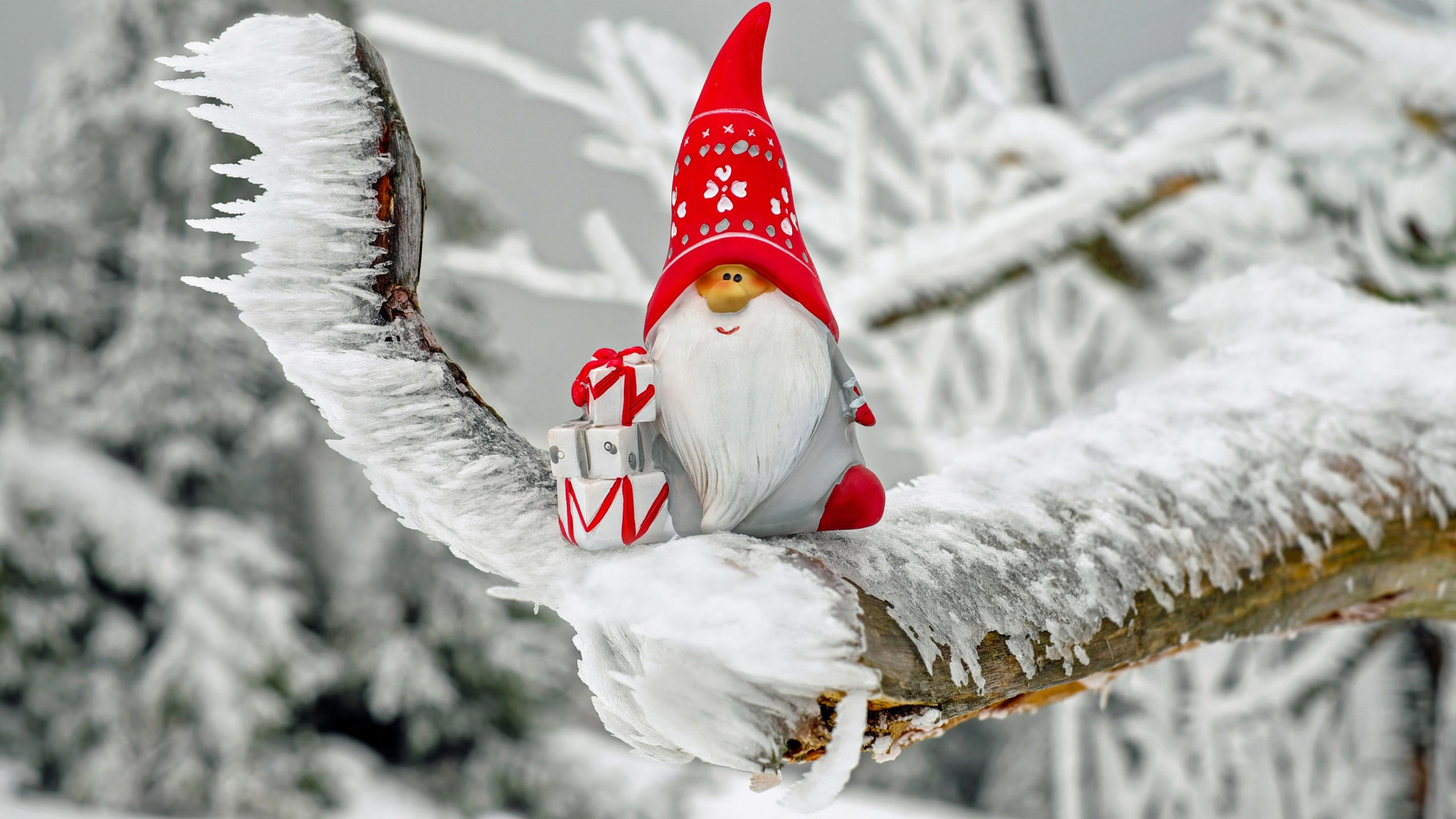 Christmas 2560x1440 new year santa winter 4k