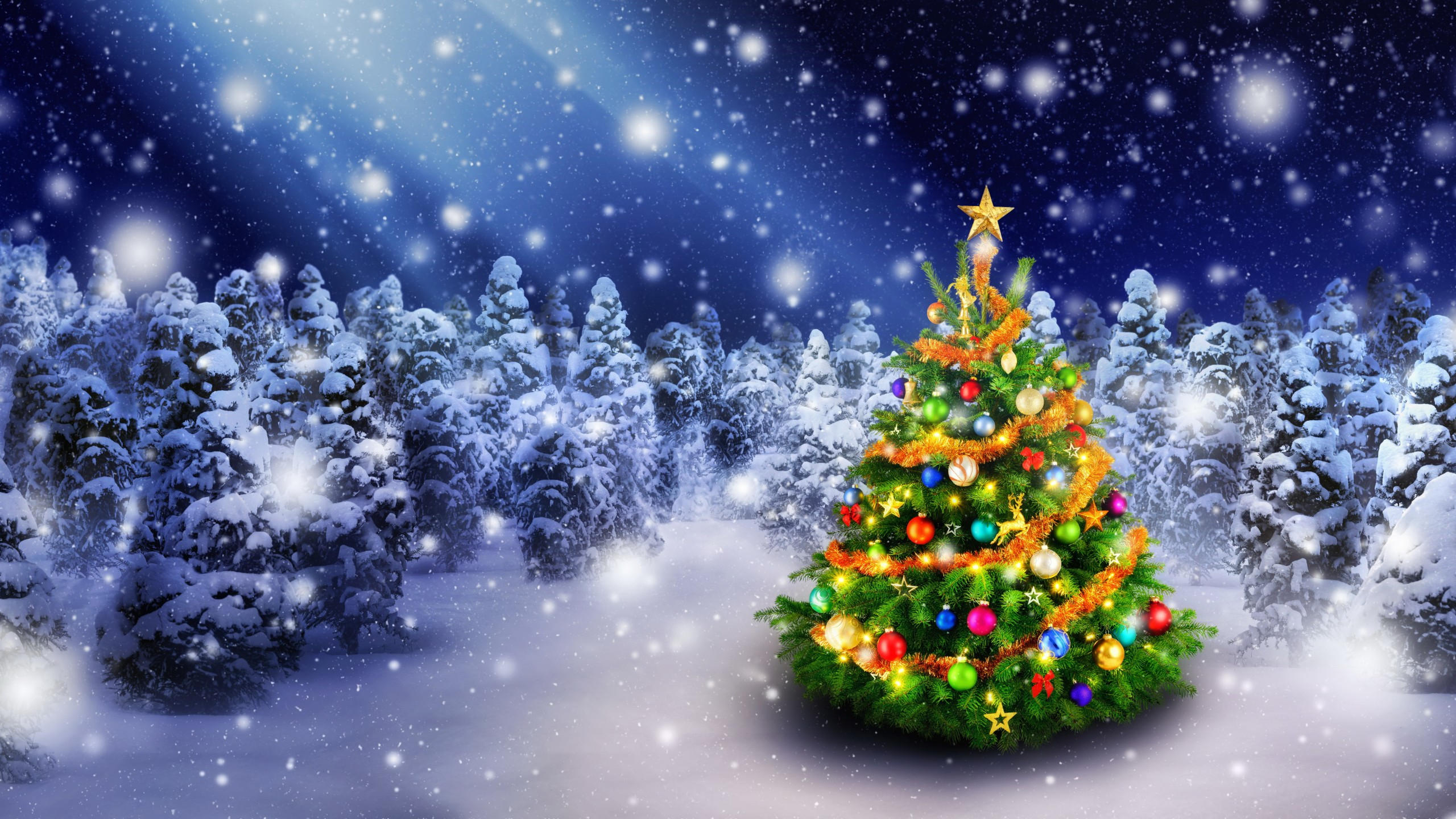 Christmas 2560x1440 new year snow fir tree 5k