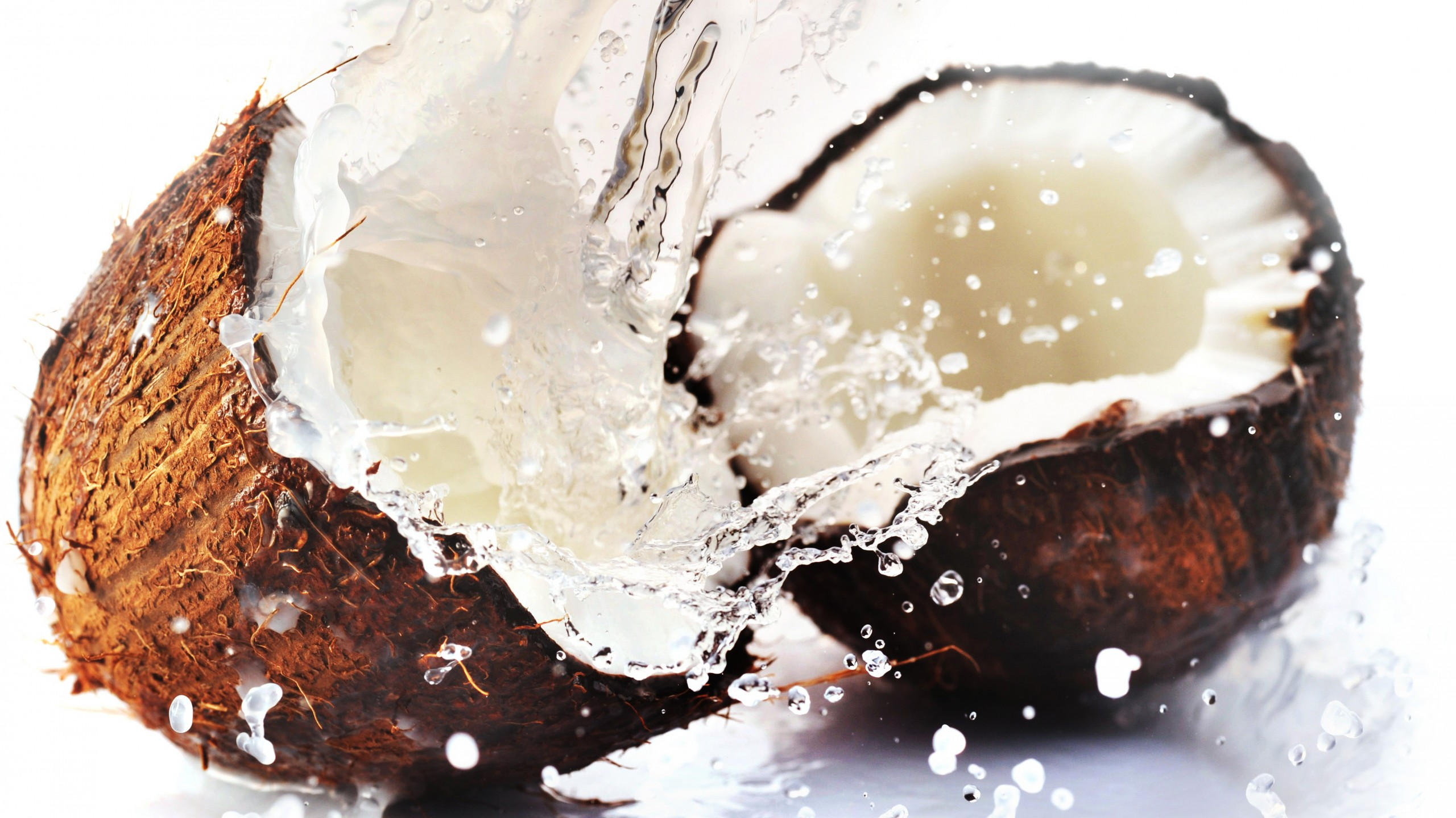 Coconut 2560x1440 8k