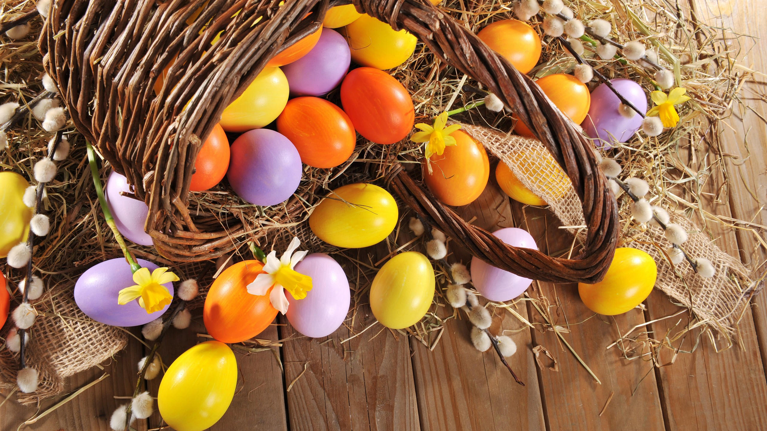 Easter 2560x1440 eggs 4k