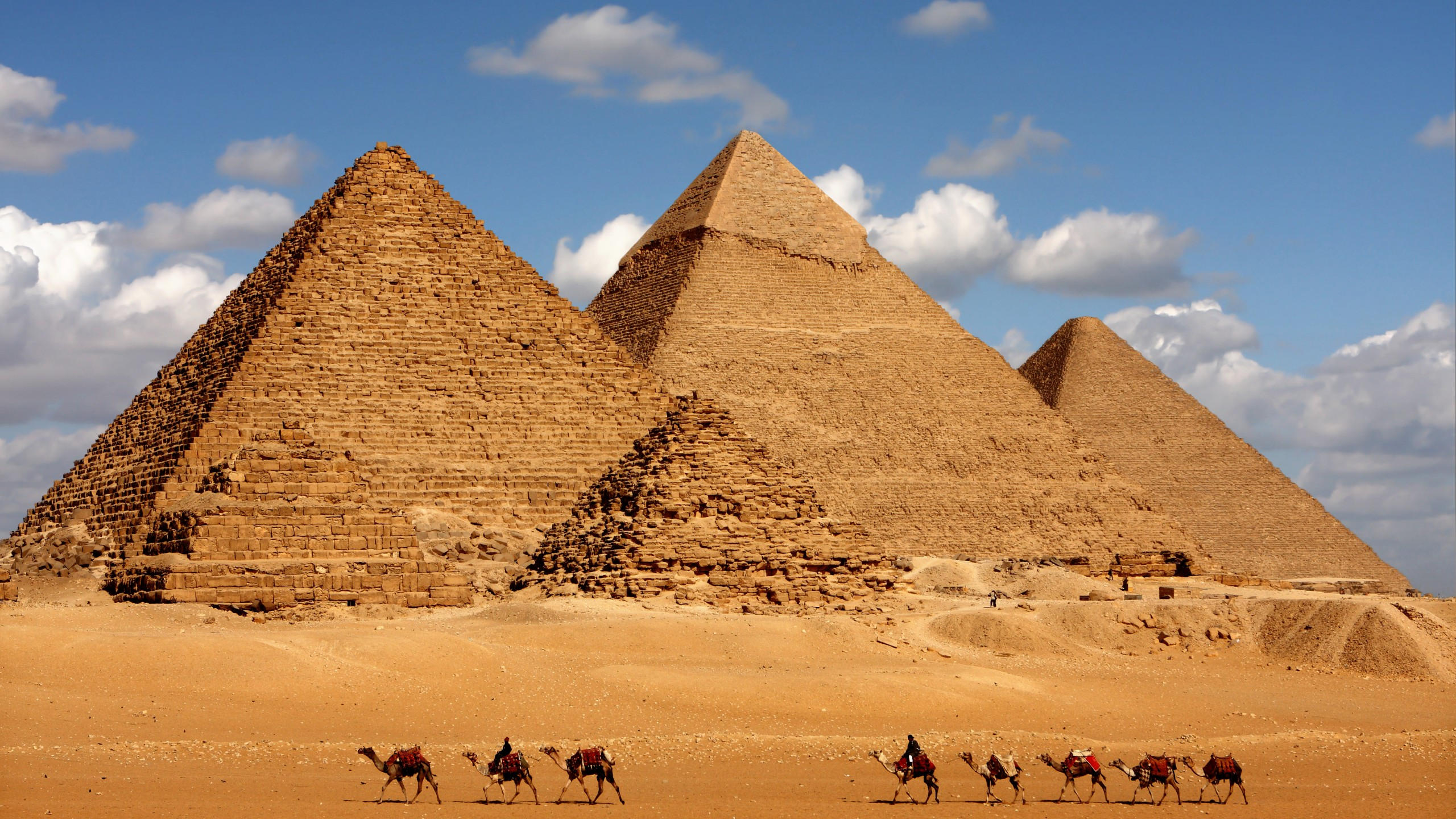 Egypt 2560x1440 pyramid camel 8k