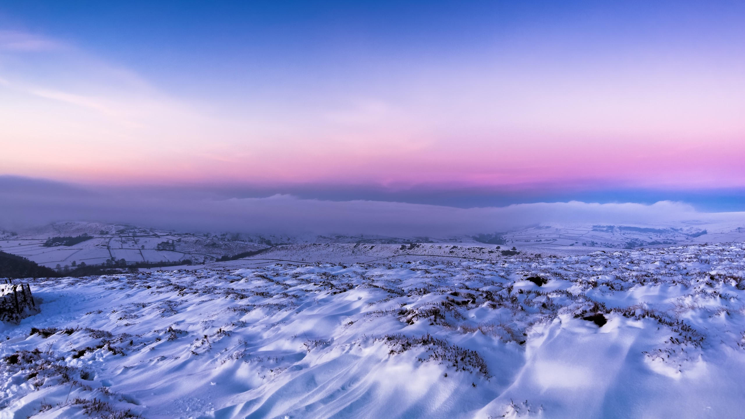 Field 2560x1440 snow winter 4k