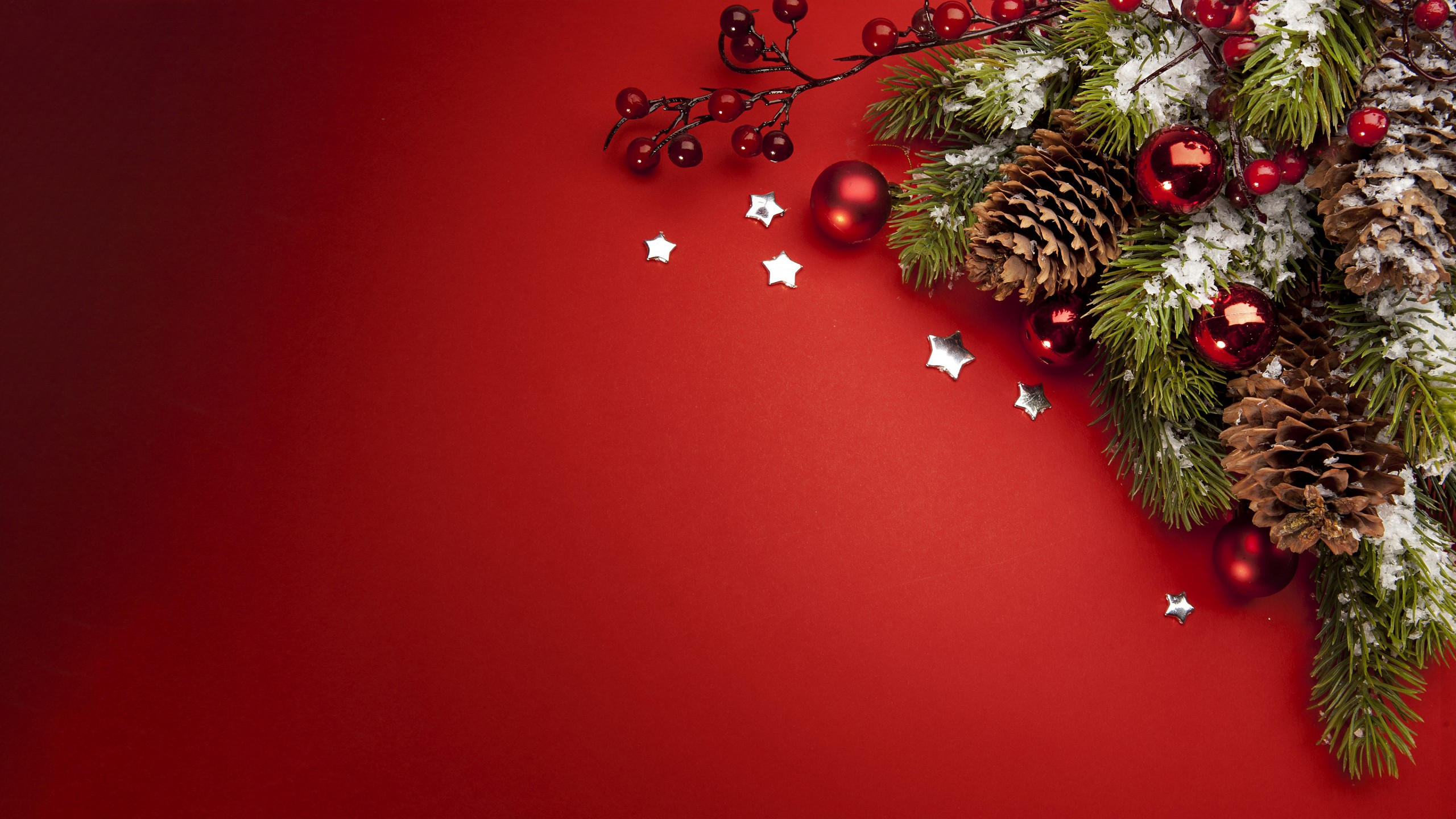 Fir tree 2560x1440 christmas new year