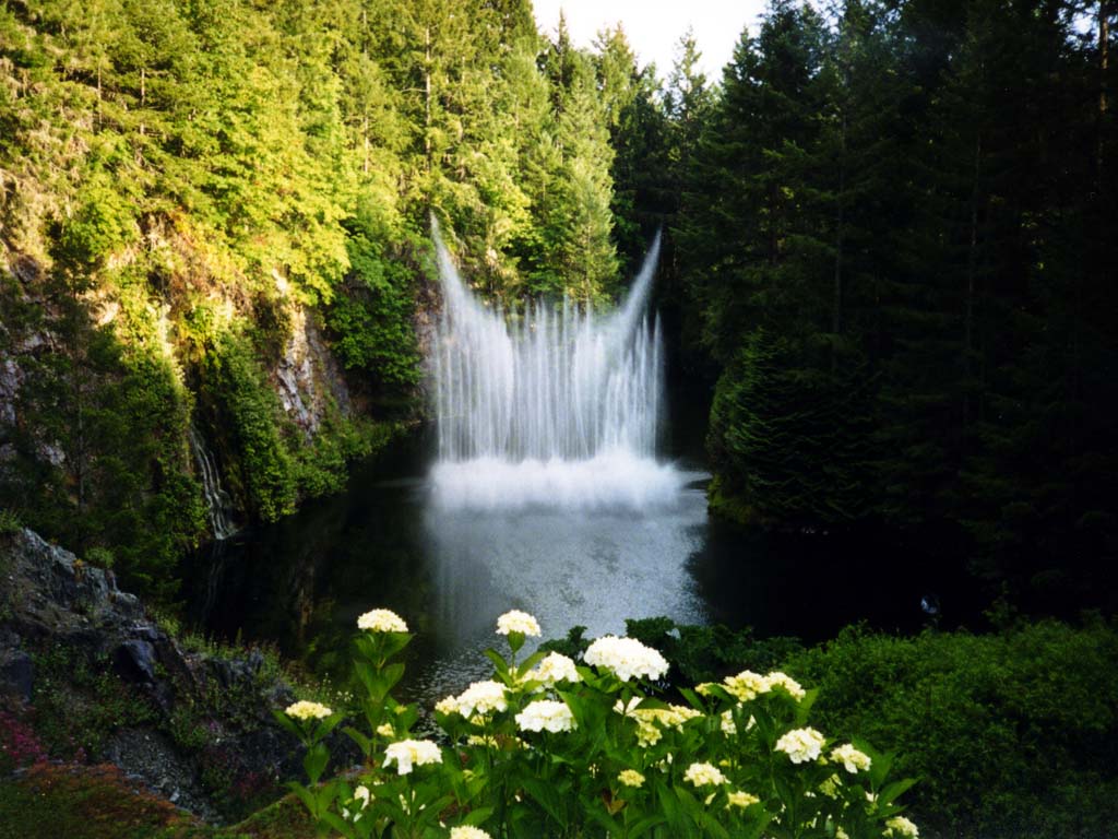 Flores blancas y cascada